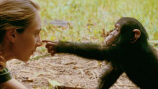 Jane still 8