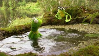 Kermit's Swamp Years still 5