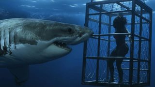 Chum still 3