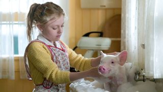 Charlotte's Web still 4