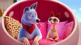 Pets United still 2
