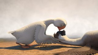 Duck Duck Goose still 7