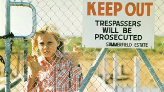 Summerfield still 2