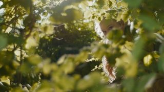 The Magic Faraway Tree still 5
