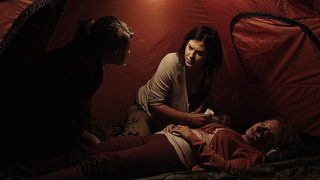 Feral still 5