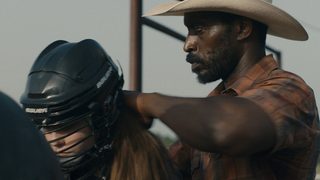 Bull still 2