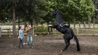 Black Beauty still 2