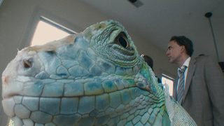 Bad Lieutenant: Port of Call New Orleans still 3
