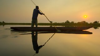 Into the Okavango still 8