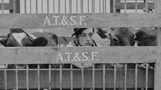 Go West still 4