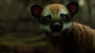 Dinosaurs: The Final Day with David Attenborough still 5