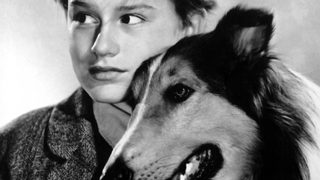 Lassie Come Home still 4