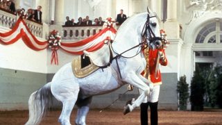 Miracle of the White Stallions still 2