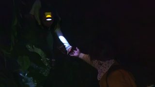 Beyond Utopia still 1