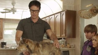 Robo-Dog still 3