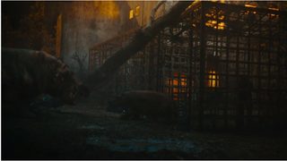 Hungry still 3