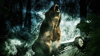 Bear still 2