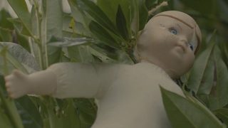 Island of the Dolls still 2