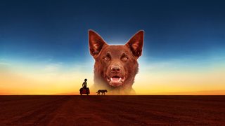 Red Dog still 8