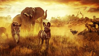 Surviving Paradise: A Family Tale still 2