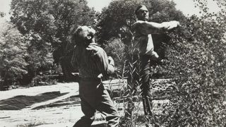 Shotgun still 2