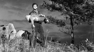 Hunted still 3