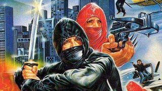 Ninja Terminator still 2