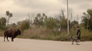 War Pony still 5