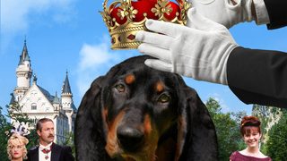 The Duke still 3