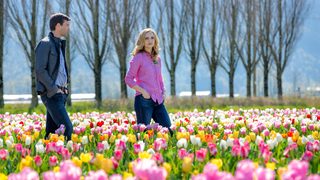 Tulips in Spring still 4