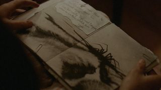 Possum still 7