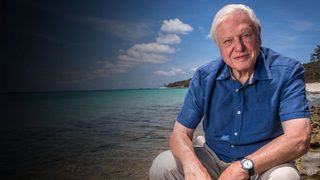 David Attenborough: A Life on Our Planet still 3