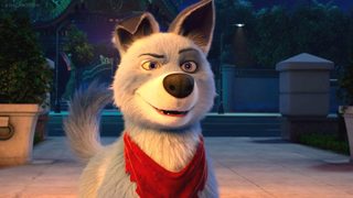 Pets United still 6