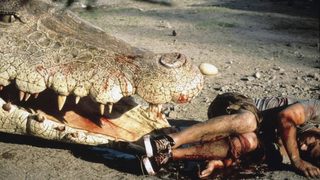 Crocodile still 5