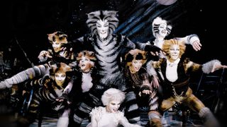 Cats still 5