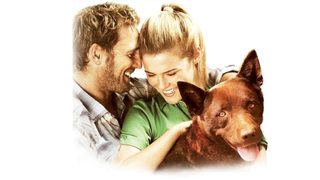 Red Dog still 3