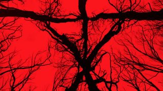 Blair Witch still 8