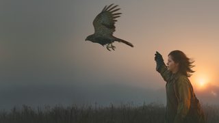 H Is for Hawk still 7