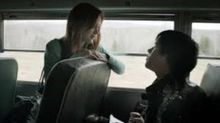 Blackbird still 2