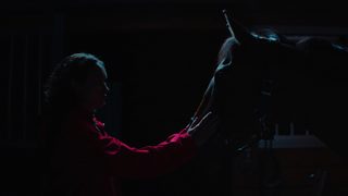 Thoroughbreds still 2