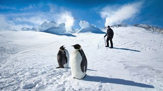 Antarctica: A Year on Ice still 1