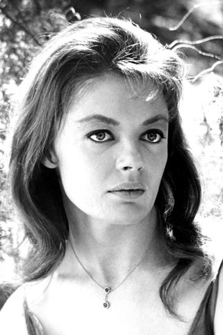 Sheree North, photo 2 of 3