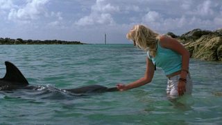Eye of the Dolphin still 1