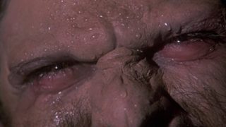 Howling II: Stirba - Werewolf Bitch still 5