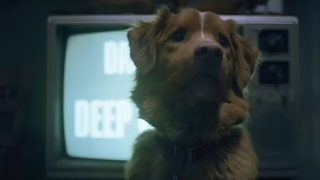 Good Boy still 5