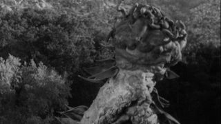 The Creeping Terror still 1