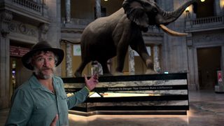 Ghost Elephants still 8