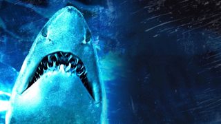 Dam Sharks! still 2