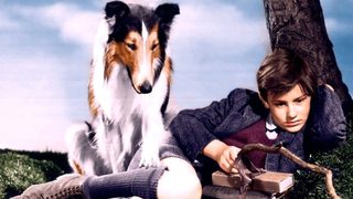 Lassie Come Home still 5