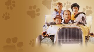 The Shaggy Dog still 5